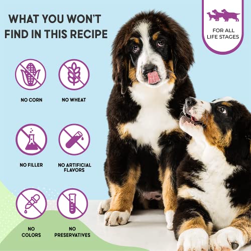 Health Extension Dry Dog Food, Natural Food With Added Vitamins & Minerals, Suitable For Puppies & Dogs, Original Chicken & Brown Rice Recipe (1 Pound / 0.4 Kg) #TOP4