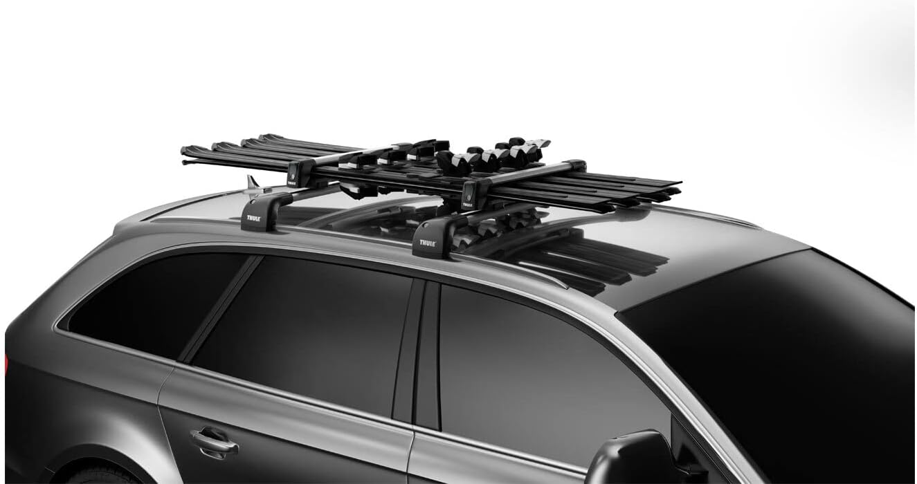 Thule 732200 SnowPack 2 Pairs of skis, Aluminium, S