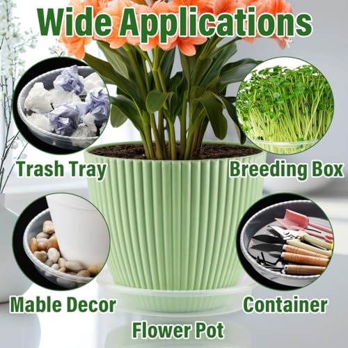 RooTrimmer 5 Pack 12 Inch Plant Saucer for Indoor Plants,Clear Plastic Plant Trays for Pots,Heavy Duty Durable Flower Pot Saucers to Protect Floors & Furniture by RooTrimmer - Image 5