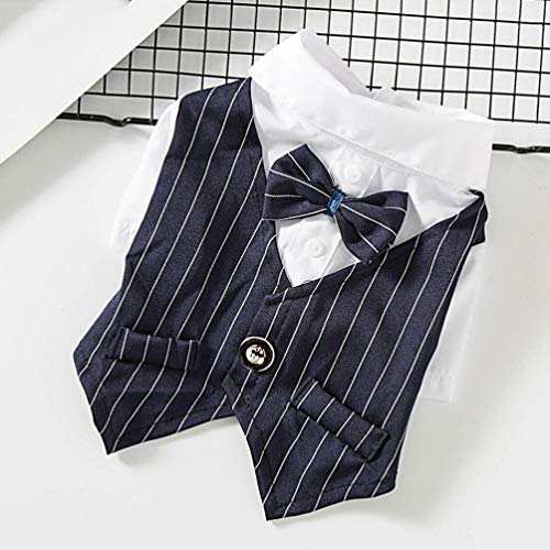 Costume da Cravatta Compagnia Cane Vestiti