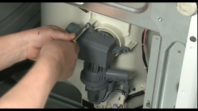 ハシヅメユウヤ　サイン付 71KUtSj5VoL.jpg