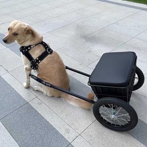 Hunde-Zugwagen mit Korb und Leine – abnehmbarer Wagen mit großer Kapazität für mittelgroße und kleine Hunde, leicht zu reinigen, vielseitig einsetzbar