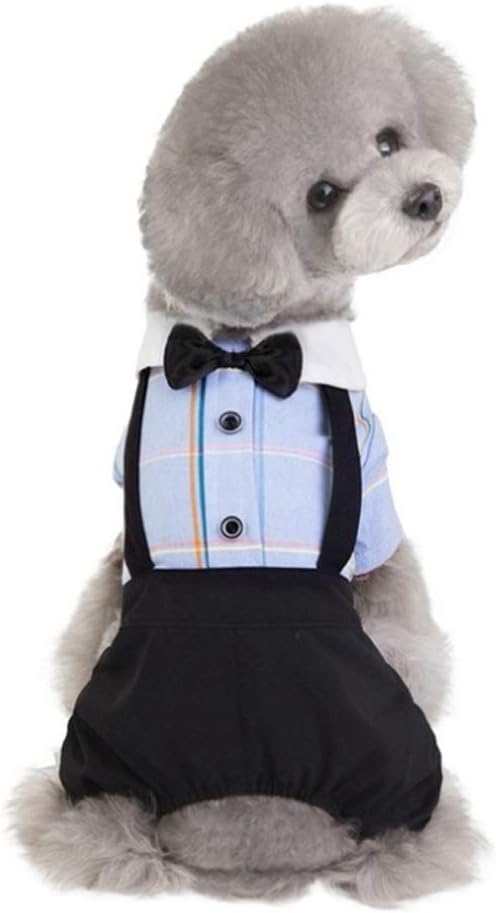 Pet Tutu Dress Dog Cats Spring Summer Stripes Rompers Clothes for Dog Boys Small Dog Girls Bowknot Dress Dog Couple Clothing (Color : B Size : Small) (A X)