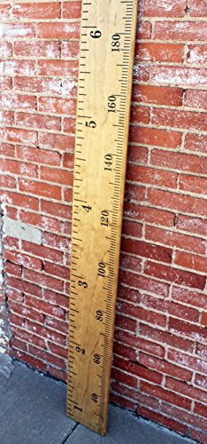 Little Acorns DIY Vinyl Growth Chart Ruler Decal Kit, Metric Combination - Thumbnail 4