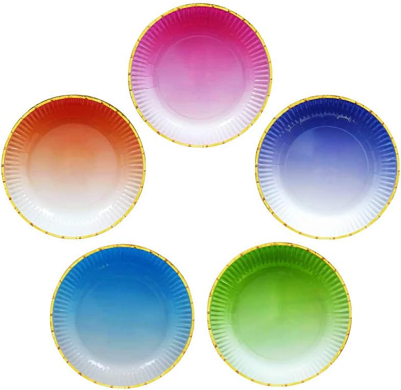 Ottin Ombre Rainbow Party Paper Plates 9'' 60 counts 5 Mixed Colors Assorted Disposable Plates for Birthday Wedding Bridal Shower Baby/Bridal Shower Engagement Retirement