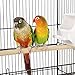 Yaheetech Jaula para Pájaros Jaula Metálica para Mascota Aves Loros Canarios 46...