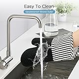 AiQInu B0F5GQLB9P lato 4