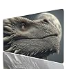 Dragon Mouse Pad 24x12 Waterproof Large Mouse Pad Moon Desk Mat ALS Mousepad for Laptop Desktop Computers Gaming Keyboard, Mousepad Improve Accuracy and Speed for Home Office Decor Gifts Model-7883