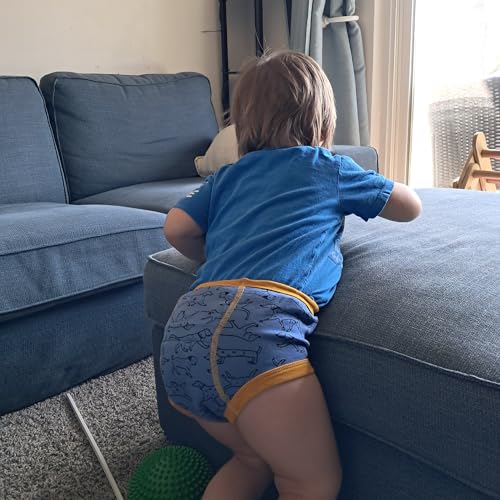 BIG ELEPHANT 10-Pack Baby Potty Training Underwear, Soft 100% Cotton Absorbent Training Pants for Boys & Girls, Ages 12M-10Y4