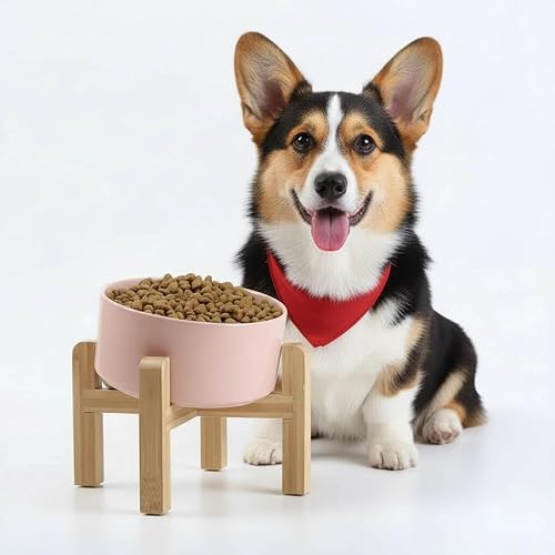 Miniatura 21 de Petygooing Tazón elevado/relevado de cerámica para perros de 15° inclinado para razas pequeñas y medianas, tazón antideslizante inclinado para Negro