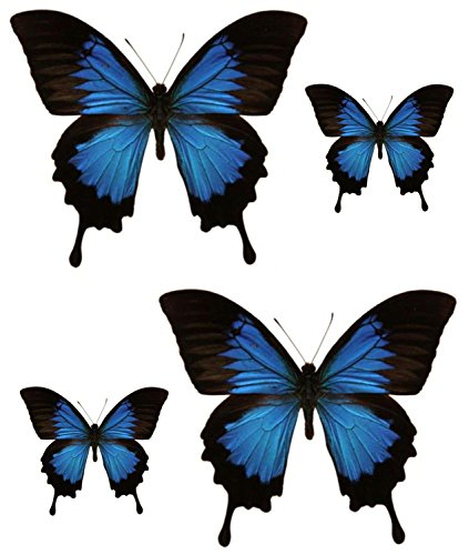 Akachafactory Set 4X Autocollant Sticker Voiture Moto Deco Papillon Bleu Noir frigo