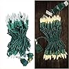 50 Count Warm White LED Christmas Lights – M5 Faceted Fairy String Lights on Green Wire, UL Listed Connectable for Indoor Outdoor Tree, Wreath, Room Decor