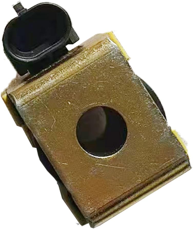 24V 16W Hydraulic Valve Coil 171179419 24V 16W Compatible for DFSS