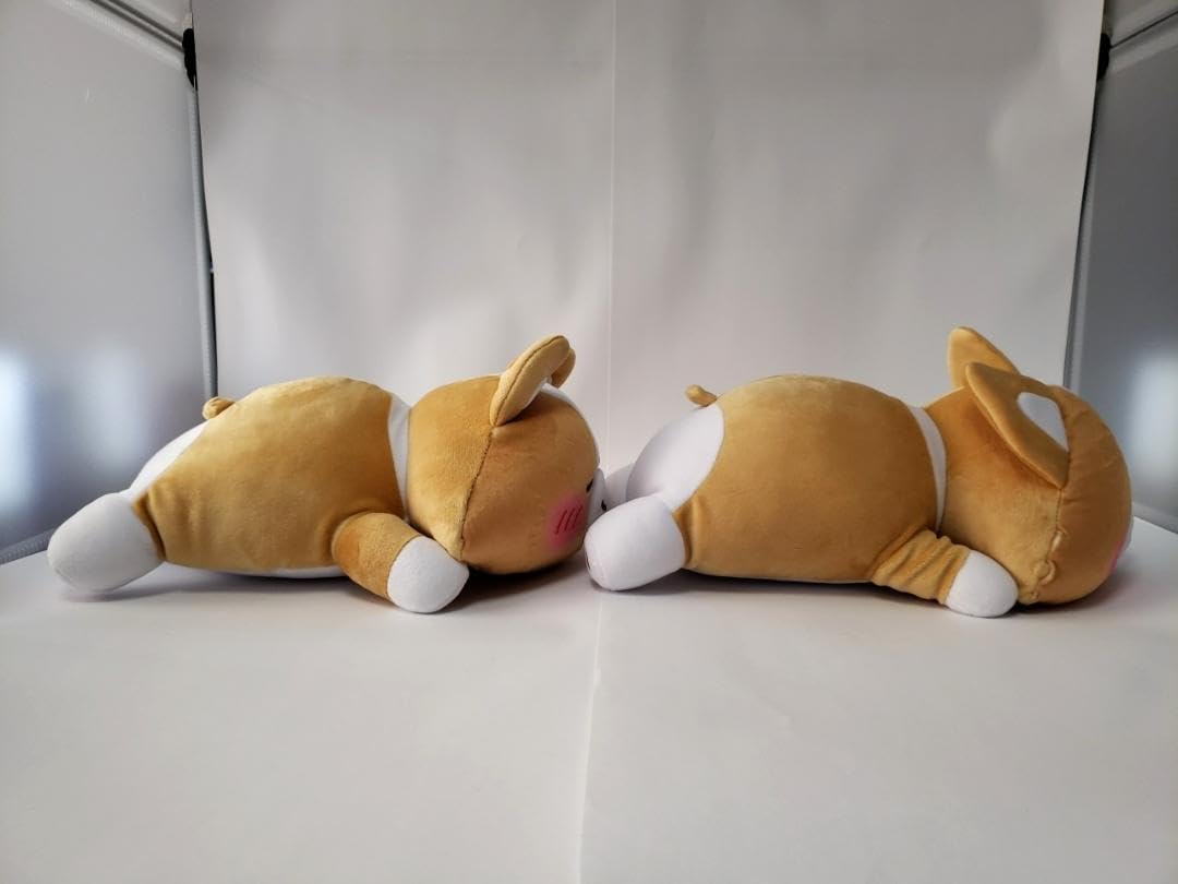 Amazon.co.jp: まるまるコーギー ましゅもっち ぬいぐるみ 全2種類 