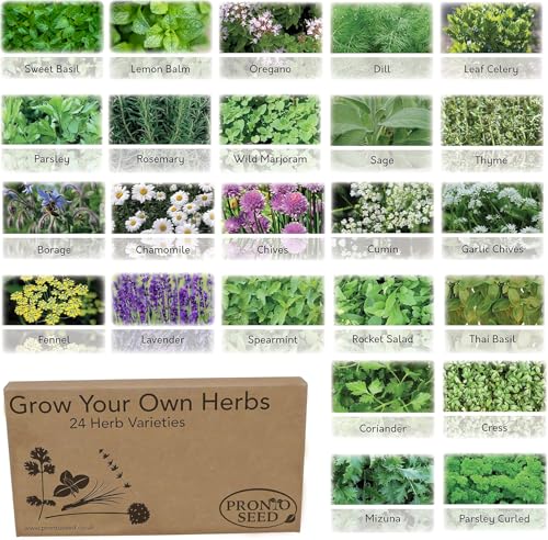 Pronto Seed Herb Bumper Pack Grow Your Own Kit - 24 Varieties