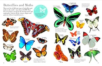 Paperback Butterflies and Moths Flying Stickers Book