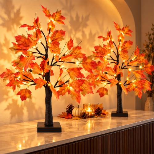 Maple tree lights