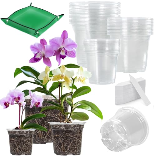 BeGrit Orchideentopf Transparent Groß Orchideen Gefäß Kunststoff Orchideen Pflanztöpfe mit Drainageloch Atmungsaktiver Orchideen Blumentopf für Phalaenopsis Dendrobium Cattleya (10cm/13cm/18cm)