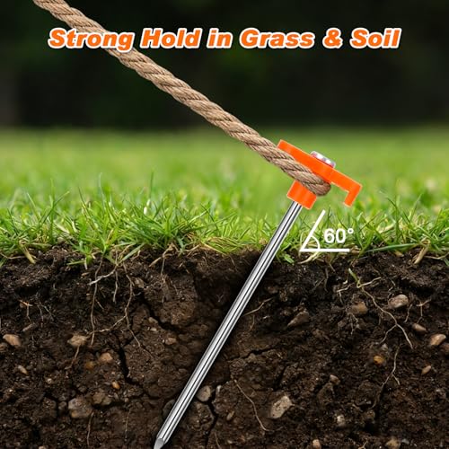 FEED GARDEN 10 Pack Galvanized Steel