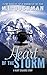 Heart of the Storm (The Night Stalkers Book 11)