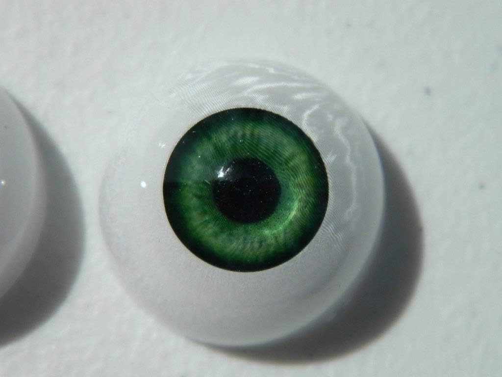 24mm Pair of Realistic Life Size Acrylic Half Round Hollow Back Eyes for Halloween Props, Masks, Dolls or Bears Green FB03