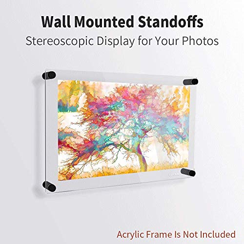 Luckin 20-Pack Standoff Screws (3/4 In. Dia X 1 In. L), Stainless Steel Standoff Mounting Hardware For Acrylic Signs, Black #TOP5