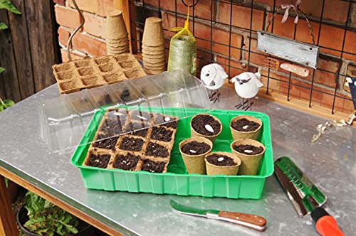 Anzuchttöpfe 3,5 x 3,5 cm – Set für Pflanzenanzucht