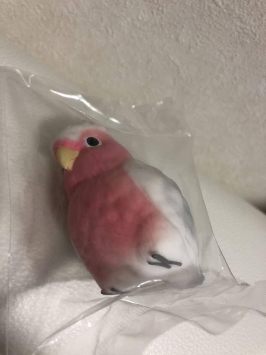 てのりフレンズ　クルマサカオウム◎ 楽天市場】てのりフレンズ10 【クルマサカオウム】 : ライジング