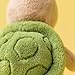 Jellycat Thimble Turtle - Jellycat Spring Collection 2026 Exclusive