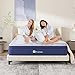 Avenco Mattress Queen, 12 Inch Queen Mattress Hybrid, Medium Firm Queen Mattress in a Box for Pressure Relief and Sound Sleep, Wrapped Coils and CertiPUR-US Foam, Soft Breathable Fabric