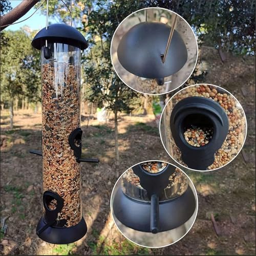 Gamelle résistante aux intempéries de haute qualité pour colibri