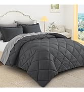 WQSPRING Queen Size Comforter Set, Reversible 3 Pieces Lightweight Soft Bedding Set for All Seaso...