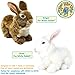 TigerHart Brigid The Brown Rabbit - 10 Inch Stuffed Animal Plush Bunny