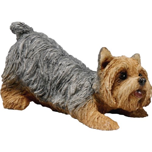 Sandicast Small Size Yorkshire Terrier Sculpture - Crouching (SS027)