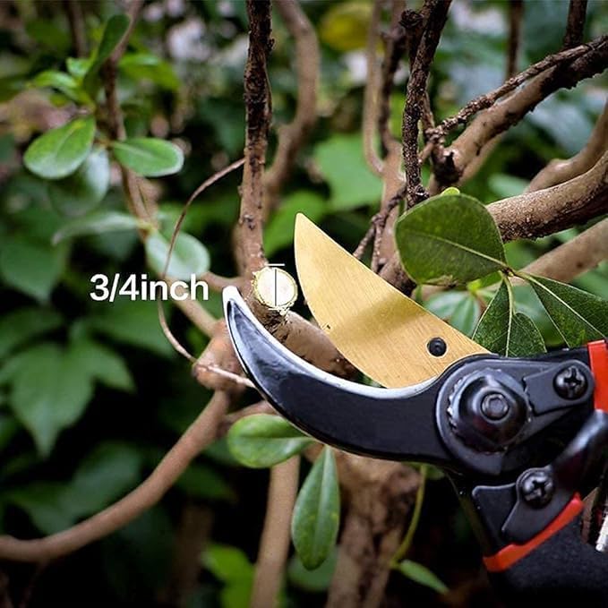 Image of STEFFAN Garden Pruning Shears Heavy Duty 8 Inch Plant Cutter Scissors for Home Gardening, Sharp Blade Branch Cutter Tool for Trees, Shrubs, Flowers & Indoor Outdoor Plant Trimming (8 inch)