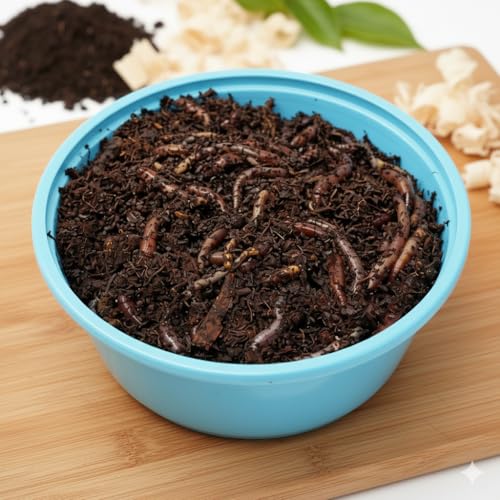 NutriCricket® Live Redworms Large (24 Count) – Fresh Feeder Worms for Reptiles, Fish, Birds &...