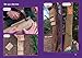 Bats (Big Cat Phonics for Little Wandle Letter)