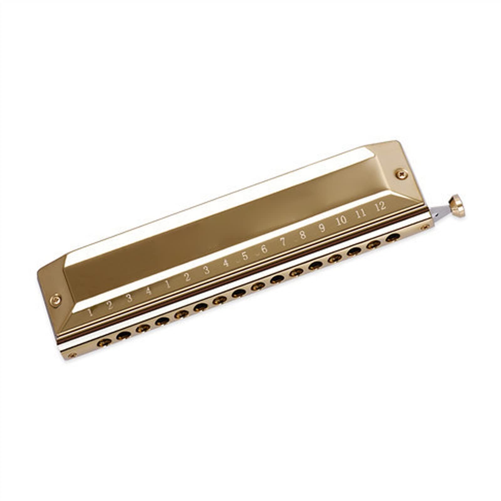 16 Fori 64 Toni Scala Cromatica Armonica in Resina ABS Griglia Bronzo Fosforoso Gong Bambini Principianti Armonica per Principianti (Color : Gold)