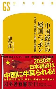 中国経済の属国ニッポン マスコミが言わない隣国の支配戦略 (幻冬舎新書)