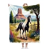 ZZXHG Kuscheldecke 200 x 220 Schwarz-WeißEs Pferd, Flauschige Plüsch Decke Tagesdecke für Kind Erwachsene, Pflegeleicht Flanell Fleecedecke TV-Decken Sofadecke Wohndecke Mikrofaser Couchdecke f375