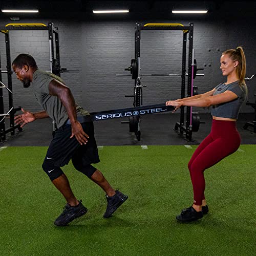 Image of SERIOUS STEEL FITNESS Assisted 41 inch Pull-Up Band, Resistance & Stretch, Powerlifting & Pull-up Assist Loop (Single Band)