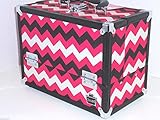 La La Lash Inspired Train Case (Pink Chevron)