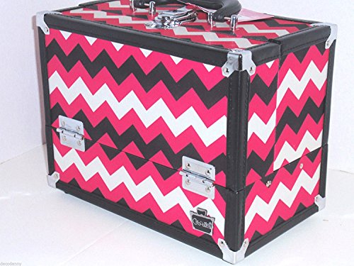 La La Lash Inspired Train Case (Pink Chevron)