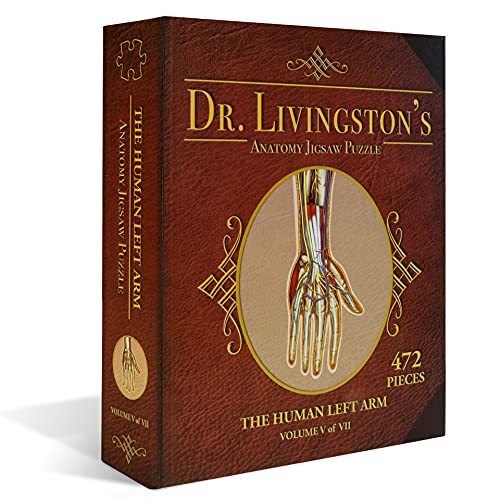 Human Left Arm Anatomy Jigsaw Puzzle | Dr Livingston\'s Unique Shaped Science Puzzles, Accurate Medical Illustrations of The Body, Bicepts, Elbow, Wrists and Hands