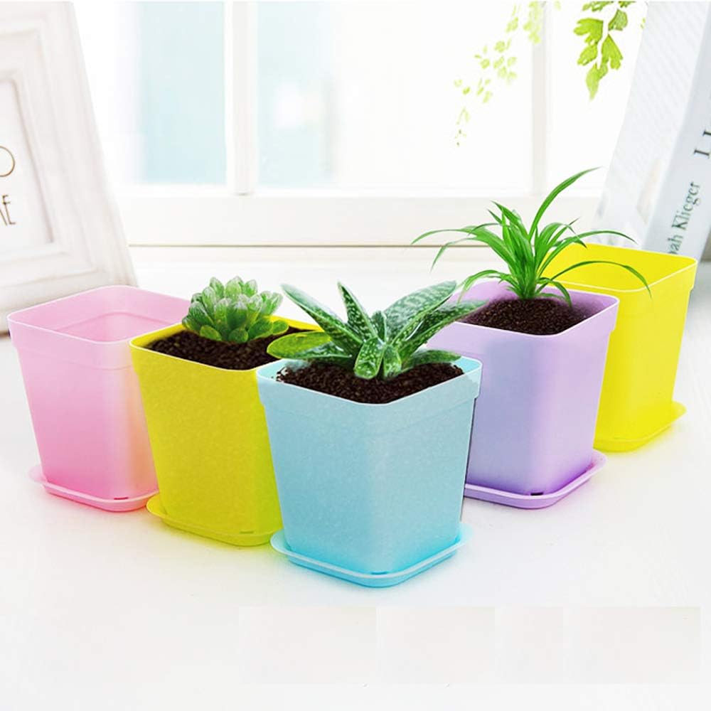 Anyumocz 24 Pack 3inch Multi Color Square Plastic Plant Pots,Seedling Nursery Transplanting Planter Container Indoor Outdoor for Your Room,Garden Office and Balcony Decor