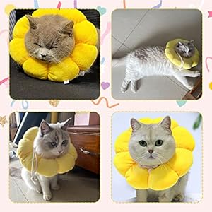 Kudes cat small dog recovery collar cute sunflower neck cone after surgery adjustable pet e collar wound healing protective cone surgery recovery elizabethan collars for small pets   cucciolini doodles