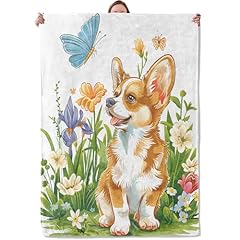 Corgi Dog and Butterfly