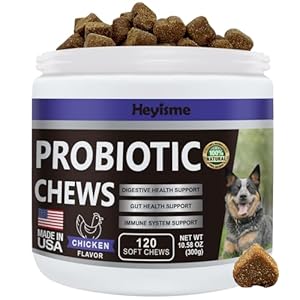 Probiotics for Dogs, Improve Yeast Balance, Itchy Skin Itchy Ears, Gut Health, Allergies, Immunity, Dog Probiotics and Digestive Enzymes with Prebiotics – Reduce Diarrhea (Chicken, 120 Chews)