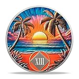 13 Year Sobriety Coin - Beach NA Medallions | Narcotics Anonymousa AA Chips and Medallions | Addiction Recovery Gifts for Celebrating Recovery Anniversary Milestones | Sobriety Gifts for Women & Men