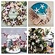 20 Stück Seestern Deko Finger Starfish Kunstharz Seesterne Meerestiere Maritime Deko Outdoor Mini Seesterne Flatback für Hochzeit Strand Motto-Party Heimdekoration Basteln Aquarium Fischernetz Deko
